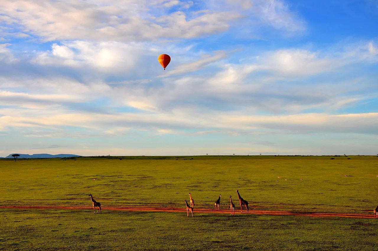 A hot air balloon over the Masai Mara grassland with giraffes below