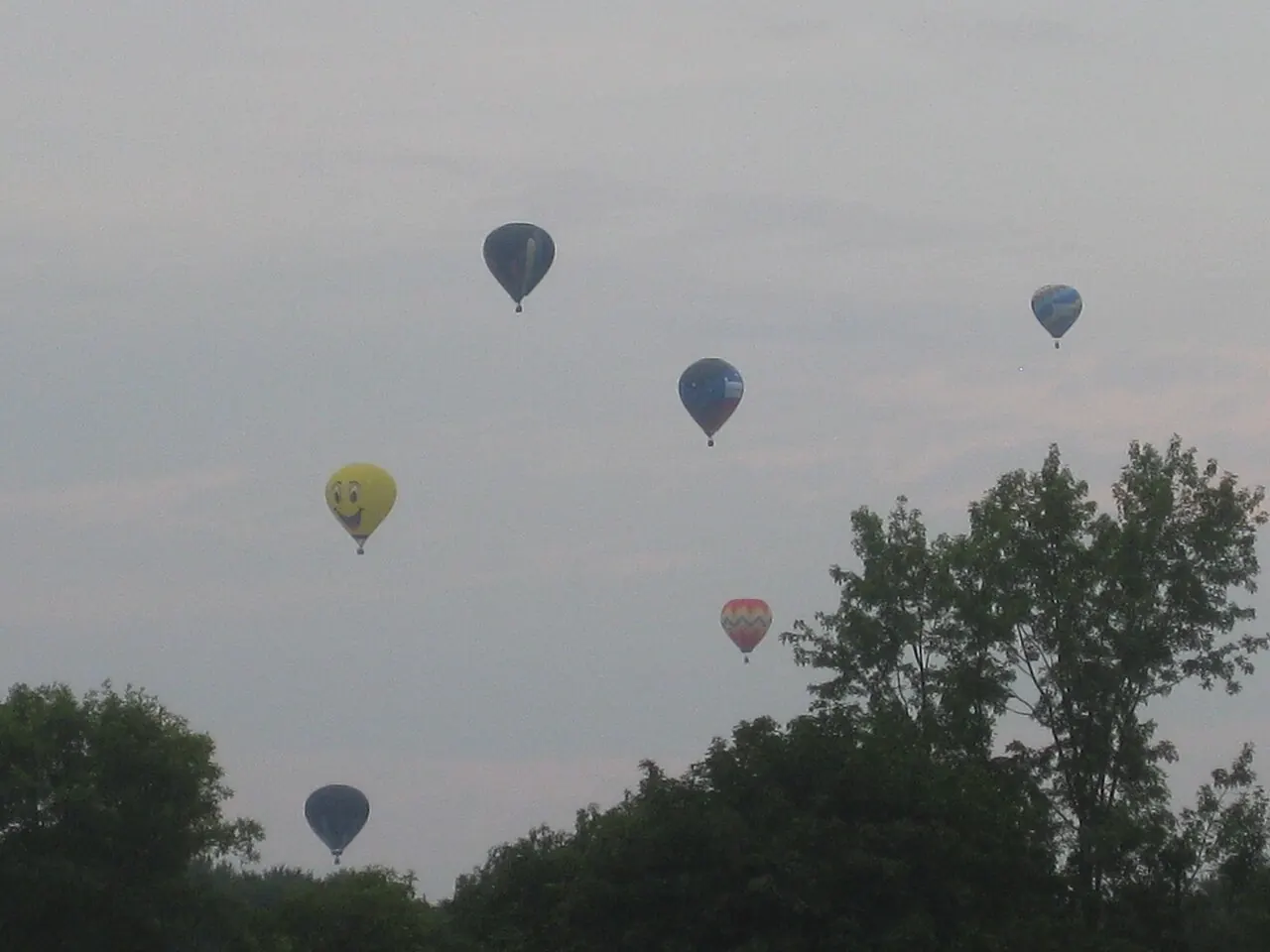 Hot air balloons over the trees at a New Jersey balloon festival