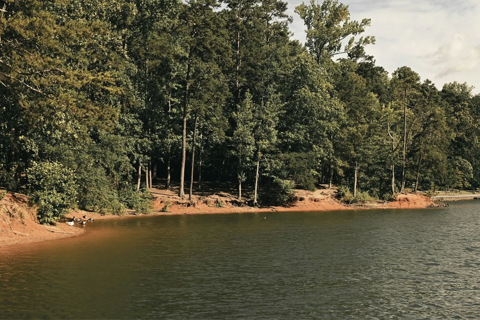 The shore of Lake Lanier, north of Atlanta